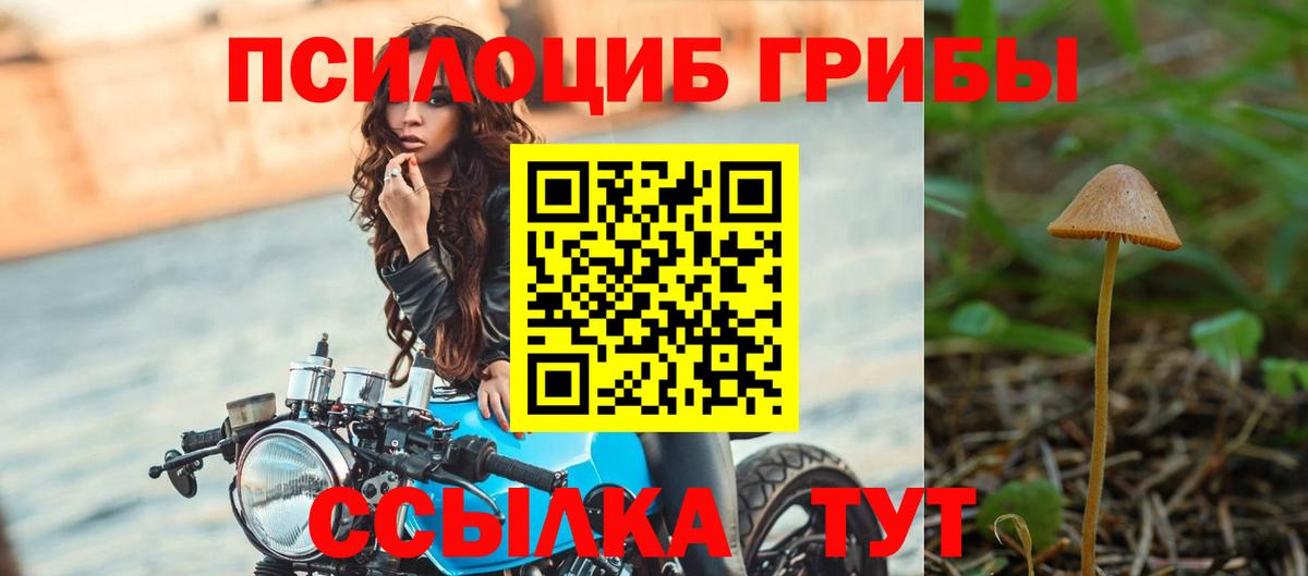 Нижний Тагил  Галлюциногенные грибы Cubensis  Вход с VPN  Псилоцибиновые грибы Magic Shrooms 